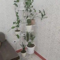 استند گلدان