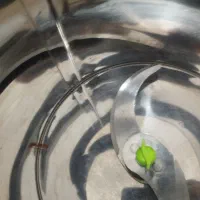 سبزی خرد کن