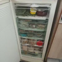 فریزر گرنیه ساخت اروپا