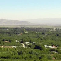 ۱۵۰۰ متر زمین سند دار  هماشهربا درختان گردو کهنسال