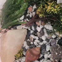 آکواریم کاملا سالم و تمیز|ماهی|تهران, گلستان (شهرک راه آهن)|دیوار