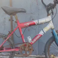 دوچرخه|دوچرخه، اسکیت، اسکوتر|بندرعباس, |دیوار