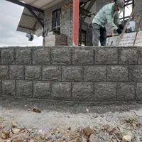 بنا با۳۰سال تجربه کاری|خدمات پیشه و مهارت|رامسر, |دیوار