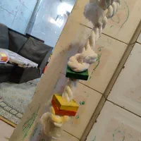 وسیله بازی پرندگان ...