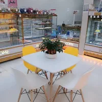 میز و صندلی نا هار خوری مدل کیان