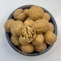 گردو پوست کاغذی(بلغار)|خوردنی و آشامیدنی|تهران, حکیمیه|دیوار