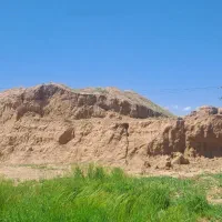 خاک باغی