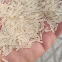 ویزیتوری پخش مواد غذایی