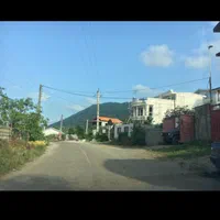 فروش زمین جنگلی باسند تک برگ|فروش زمین و ملک کلنگی|چابکسر, |دیوار