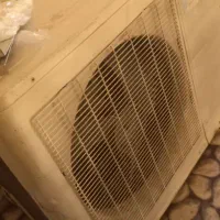 کافه قهوه
