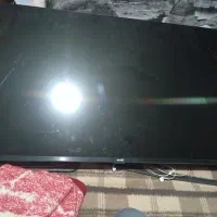 ال ای دی evvoli