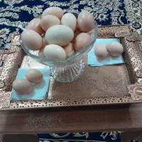 فروش تخم مرغ محلی
