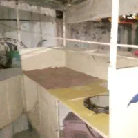 دکه نخود لبو فلافل|فروشگاه و مغازه|یاسوج, |دیوار