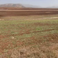 زمین کشاورزی آبی بارانی کوهرنگ|فروش زمین و ملک کلنگی|کوهرنگ, |دیوار