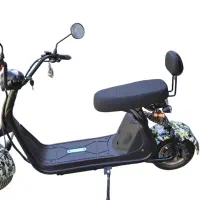اسکوترشارژی