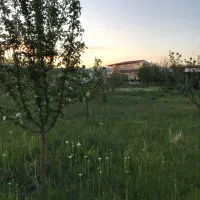 باغبان