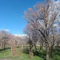 فروش-خانه-ی-ویلایی-همراه-باغ