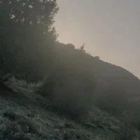 زمین-فروشی