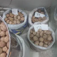 گردو بادام کشمش شیره انگور برگه آنخ لوبیا عدس نخود|خوردنی و آشامیدنی|قوچان, |دیوار