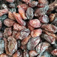 کشمش|خوردنی و آشامیدنی|ساوه, |دیوار