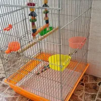 قفس پرنده  نو با وسایل