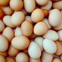 تخم مرغ محلی تازه روز