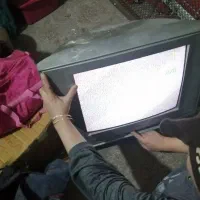 تلویزیون