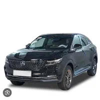 دیگنیتی ۴۰۴ مشکی داخل مارون