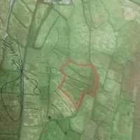 زمین کشاورزی مخصوص برنج کاری