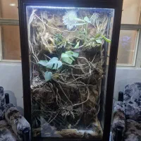 قفس شیشه ای پرنده  با تمام تجهیزات