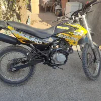 تریل کویر .گلد