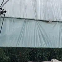 پلاستیک گلخانه