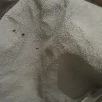 پالاز موکت نو  متری