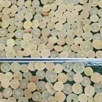 دستگاه میوه خشک