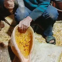 فروش و آموزش دوتار ونی سنتی آقای نوروزی|سازهای سنتی|آزادشهر, |دیوار