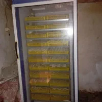 دستگاه جوجه کشی|ماشینآلات صنعتی|تالش, طولارود|دیوار