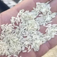 زعفران.برنج دورود.بروجرد.سالم نیمدانه