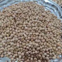 نخود|خوردنی و آشامیدنی|ضیاء آباد, |دیوار