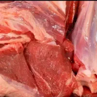 پخش گوشت گوساله دولتی|خوردنی و آشامیدنی|شهریار, شهرک امیریه|دیوار