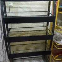 استند چیپس و پفک