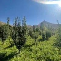 باغ روستا هرانده فیروزکوه سد نمرود