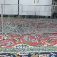 فروش قفس پران بزرگ..