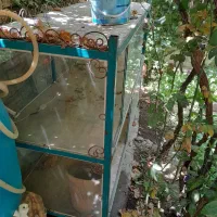 میز ویترینی بزرگ