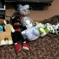 عروسک و خرسی و ...|اسباب‌‌بازی|دلند, |دیوار