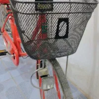 دوچرخه در حد نو|دوچرخه، اسکیت، اسکوتر|نیشابور, میدان حافظ|دیوار