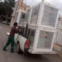 کولر آبی ایرومکس پلیمری سلولزی  اینورتر کاشمر|کولر آبی|کاشمر, |دیوار