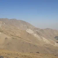 اسب