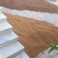 فروش فوری بذر ینجه حاجی کوشش اصل