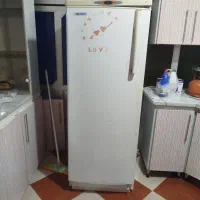 فریزر سیلوان کاملا سالم