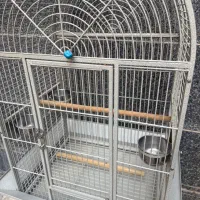 قفس طوطی|لوازم جانبی حیوانات|تهران, افسریه شمالی|دیوار